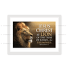 Jesus Christ The Lion Of The Tribe - Revelation 5:5