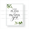 I Have Plans to Prosper You - Jeremiah 29:11